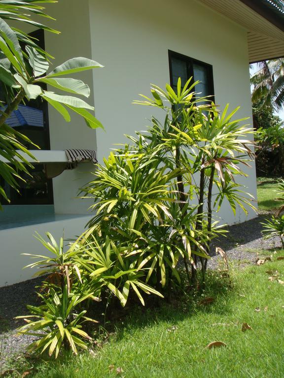 Baan Kuasakul Resort Bãi biển Bãi biển Mae Nam Ngoại thất bức ảnh